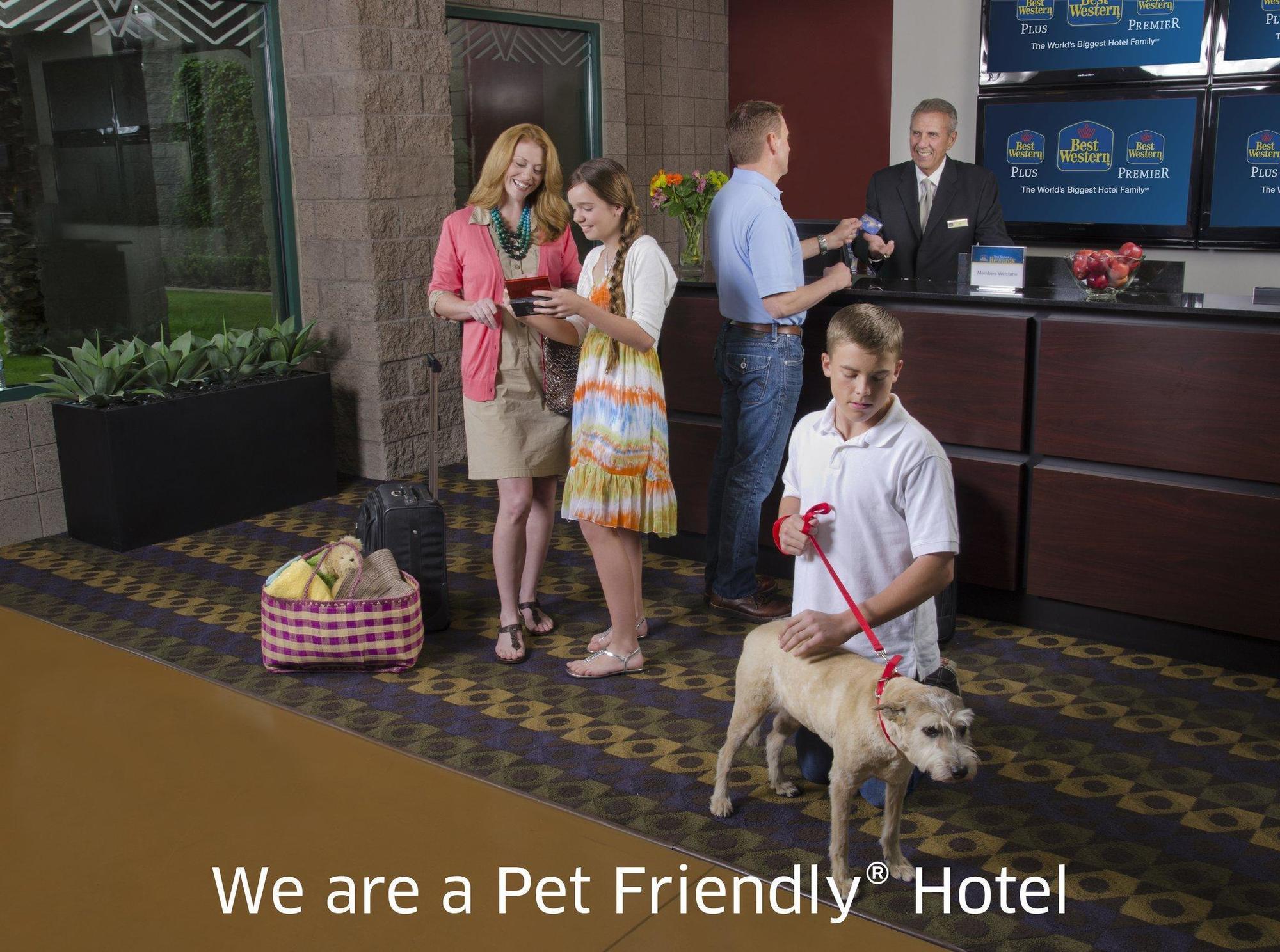 Quality Inn & Suites Phoenix Nw - Sun City Youngtown Esterno foto